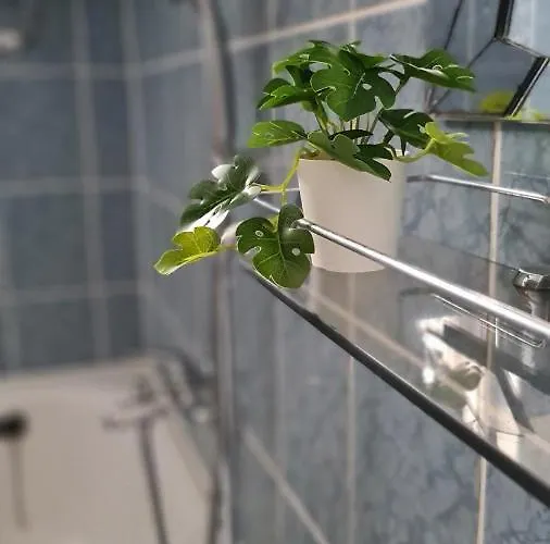 Vitorlás Apartamento
